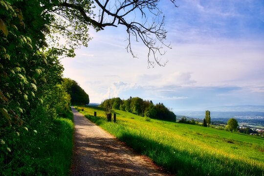 Hiking path by a forest in an alpine landscape in Spring, Aargau, Switzerland