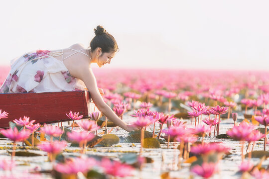 Side view of a young woman in a boat picking a pink lotus flower from the Red Lotus Sea (Talay Bua Daeng), Udon Thani, Northeast Thailand, Thailand