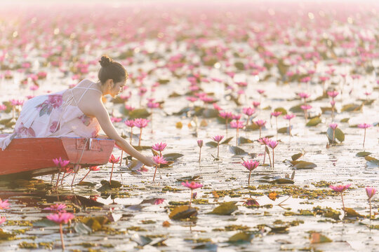 Side view of a young woman in a boat picking a pink lotus flower from the Red Lotus Sea (Talay Bua Daeng), Udon Thani, Northeast Thailand, Thailand