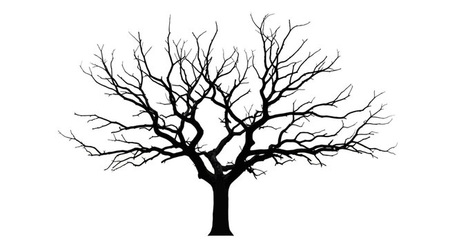 Silhouette of a bare tree with intricate branches against a white background.