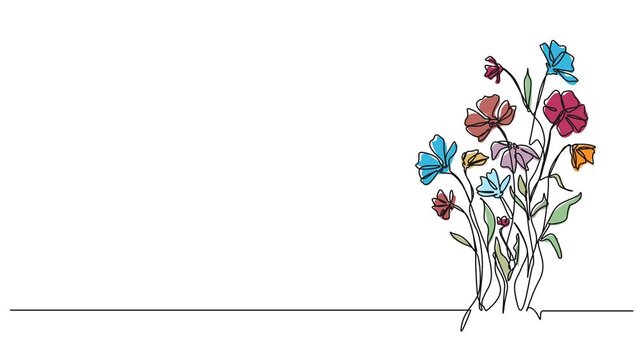 animated continuous line drawing of colorful wildflowers, line art animation