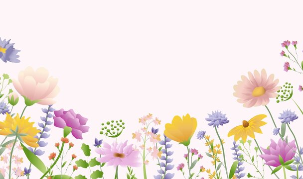 Hello Sring Flowers Border With Grass