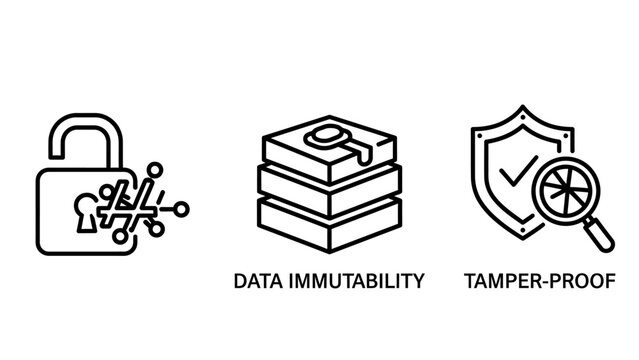 Icons representing data immutability, tamper-proof security, and cryptographic keys for secure digital information.