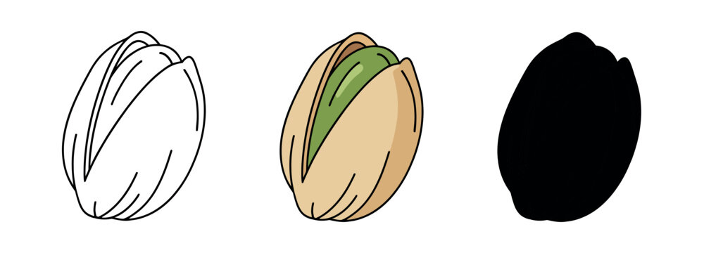 Set of pistachio nut icons in line art, flat color, and black silhouette styles. Minimalist food vector isolated on white background.