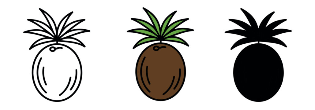 Creative coconut icon featuring palm leaves in line, color, and silhouette. Minimalist tropical symbol for vacation or food design.