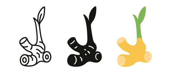 Ginger sprout graphic set in outline, silhouette, and colorful styles