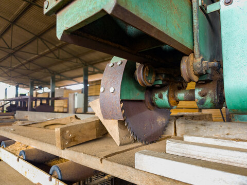 Professional wood sawing machine with protective guard in an industrial factory.