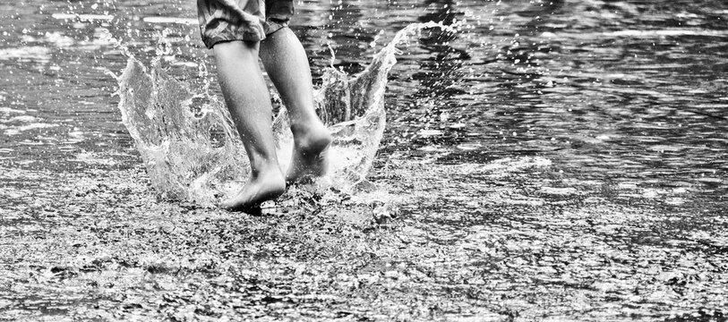 Splash