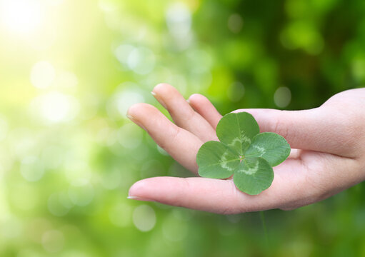 A woman's hand gently holds a vibrant four-leaf clover against a soft green bokeh background in warm sunlight. This serene image symbolizes good luck, hope, fortune, and positive energy.