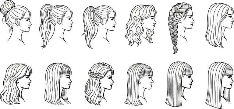 Collection of line drawings showcasing diverse female hairstyles in profile