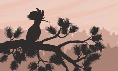 Hoopoe bird silhouette on pine branch vector. Eurasian hoopoe perched at sunset in forest, minimal wildlife illustration on pink background © AnnstasAg