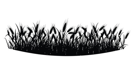 A silhouette of wheat stalks and grasses against a white background © Selim Studio