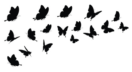 A swarm of black butterflies in flight against a white background © Mdselim