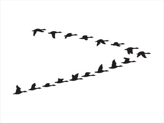 Silhouette of flock of flying duck vector. Flying Ducks, Geese Silhouette Vector, Flock of Birds in V Formation Illustration © Chan