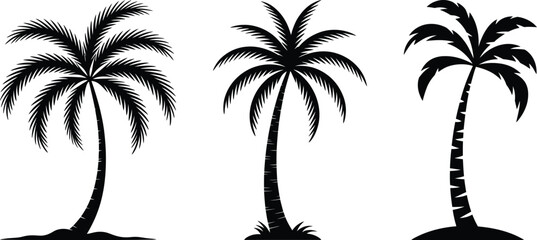 Obraz premium Three black silhouette palm trees on white background tropical plants summer vacation symbols nature icons palm tree silhouettes