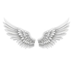 Fototapeta premium White angel wings isolated on a transparent background 
