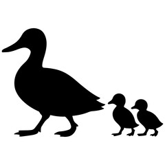 Mother Duck and Ducklings Silhouette Walking Together, Family Concept © imran