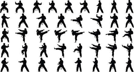 Black martial arts silhouettes set with karate and taekwondo fighters performing kicks and stances isolated on white background vector illustration. © Tanzila