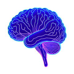 A stylized illustration of a human brain with intricate neon blue and pink glowing outlines on a dark background.