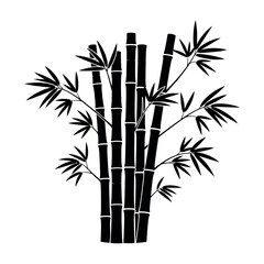 Obraz premium Black silhouette of bamboo plant with leaves