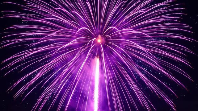 Purple fireworks exploding in night sky