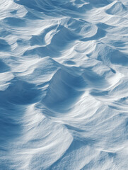 Obraz premium Soft snowdrifts sculpted by wind create a serene, wave-like textured landscape bathed in cold, natural light during winter outdoors
