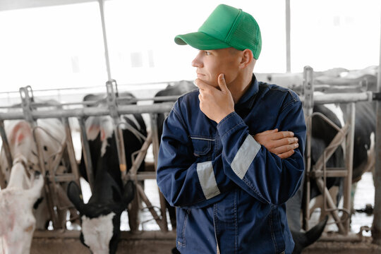 Caucasian young male farmer in green cap observing dairy cows in modern barn