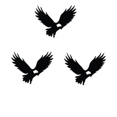 Fototapeta premium eagle vector illustration