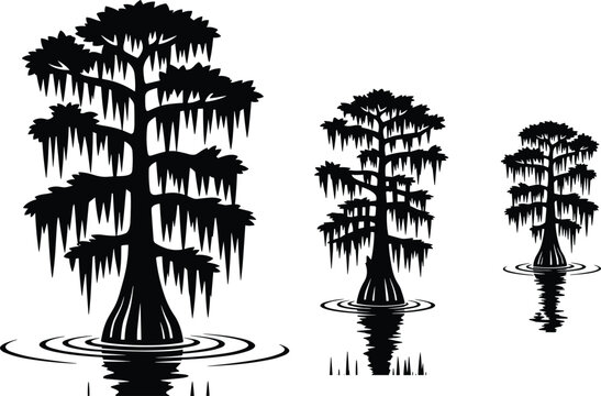 Cypress tree swamp illustration, wetland landscape vector, hanging moss reflection drawing, bayou nature art, black and white design