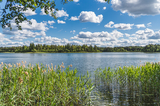 Natural landscape with the glacial lake Wigry