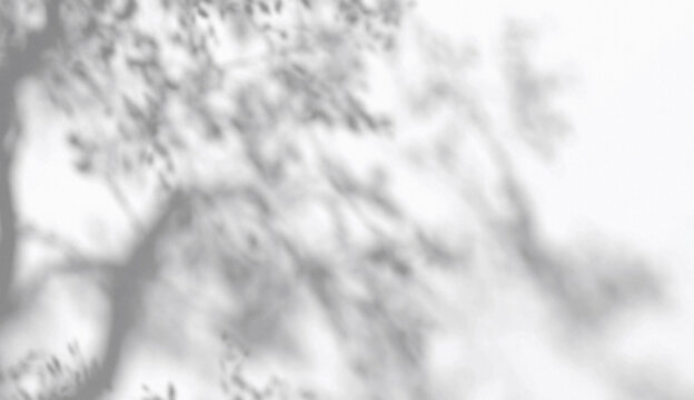 Abstract shadow tree crown branches on wind background, 3d rendering. Sunlight blurred overlay effect on leaves texture backdrop. Foliage and plant shade reflection template.