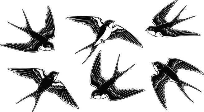 Flying Swallow Bird Vector Illustration Set, Barn Swallows Silhouette Collection, Nature Wildlife Graphic Elements, Flavector Brand Avian Sketches, Winged Creatures Portfolio