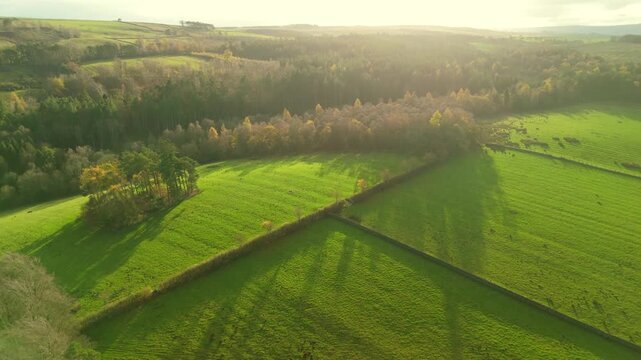A drone captures a view of green fields in Northumberland near Hexham. The landscape features trees and woodlands in the distance. Flying into the sunset