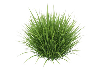 Naklejka premium Green grass bush isolated on transparent background with long blades