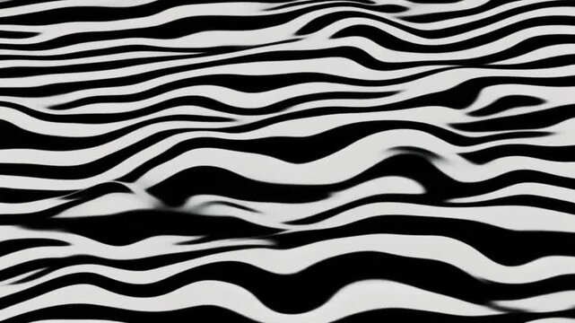 Abstract Zebra Stripes for the concept of pattern and design.