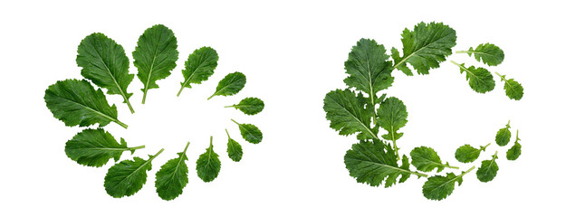 Obraz premium Spiral flying or Green kale leaves arranged in an circular or crescent shape against on transparent background Cutout PNG