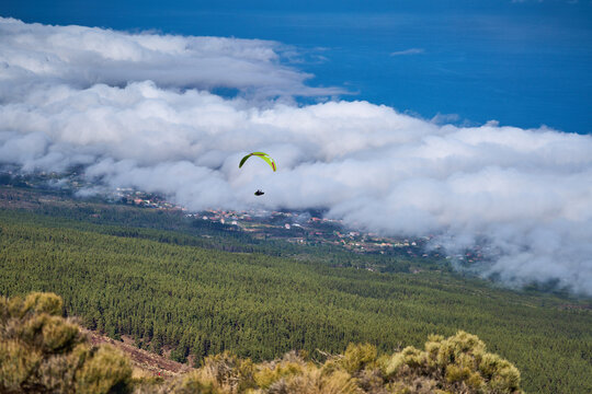 Paraglider over Tenerife pine forest