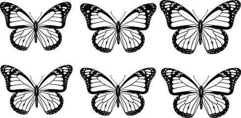 Butterfly silhouette vector illustration, black insect icons, symmetrical wing artwork, nature design elements, decorative butterfly graphic, flying insect symbol © Manharul