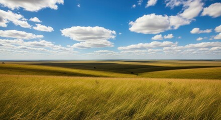 Obraz premium Golden Wheat Field Landscape.