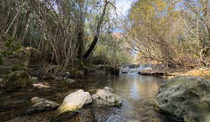 River scenery in Fonte da Benemola. Loule, Algarve, Portugal