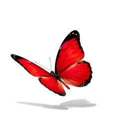 Obraz premium Blue Technology Digital Circuit Background