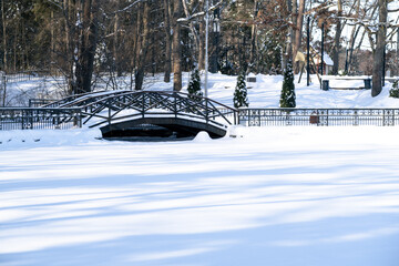 Snow covered bridge over frozen lake in a serene winter park. Forest landscape with trees in a tranquil outdoor scene.