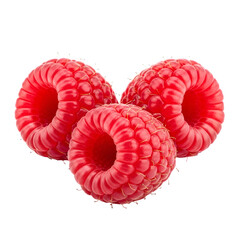 Fresh raspberries displayed against a plain white background in a natural setting isolated on transparent background