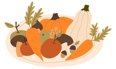 Autumn vegetables and fruits composition with pumpkins,mushrooms, carrots and apples. Seasonal fall harvest illustration for decorations and cozy lifestyle designs. Hand drawn vector illustration.