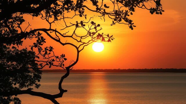 Silhouette of tree branches against vibrant orange sunset over calm water surface in peaceful tropical atmosphere