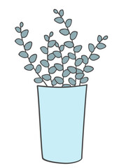 Eucalyptus plant in pot. Flat line vector illustration