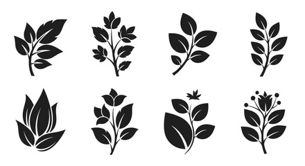 Black and white illustration of various leaf and botanical arrangements