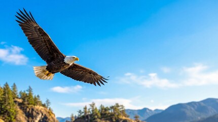 Fototapeta premium Symbol of freedom majestic bald eagle mid-air action, room for text, perfect for Independence Day designs, patriotic marketing campaigns, national holiday promotions, and environmental storytelling