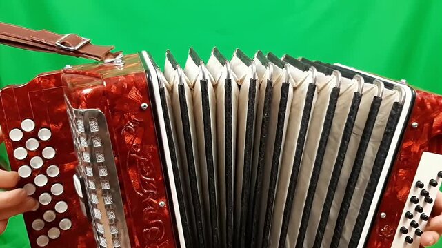 Crafting vibrant musical videos with a skilled accordion player's art