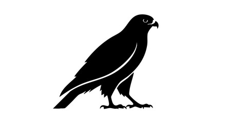 Obraz premium Falcon silhouette vector on white background 